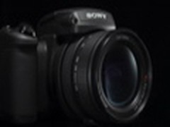 550D缓降佳能DC暴跌 8月降价最猛TOP10