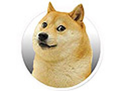 精神污染 网上巨火的神烦doge玩物推荐