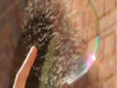 肉眼看不到的美丽 高速摄影定格的瞬间