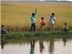 如果我的孩子回到我们童年的那个时代！