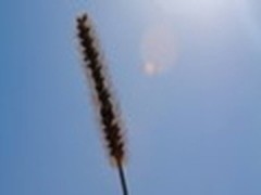 17-40L+135L上阵 佳能60D国庆抢先试用