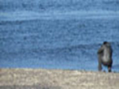 秋景美如画  佳能SX30IS探访边境黑龙江