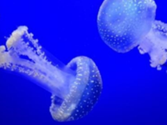 天威耗材：3D打印让个性化定制走进现实