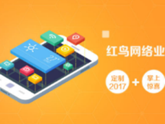 红鸟网络APP定制开发 创开发旗舰品牌