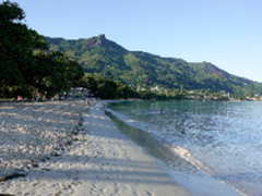 带索尼RX100 V在塞舌尔体验潜水摄影2