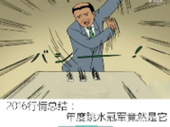 2016行情总结：年度跳水冠军竟然是它