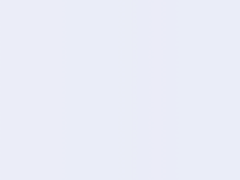 长虹是如何以“黑马”姿态突围的？