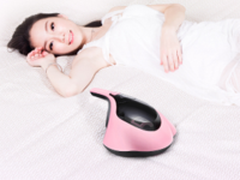 螨虫大克星 小狗除螨仪活动价299元