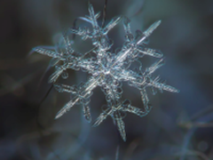 这片雪花告诉你一台佳能老A650能做什么