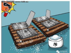 飓风后 大米与服务器真情再现