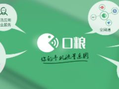 口粮APP进入全流量时代