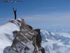 Go力压Dart和Perl成最受欢迎编程语言