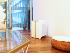 Dustie:过年回家带上健康 了却父母牵挂