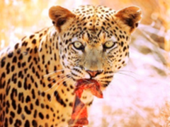 “EOS看世界”摄影作品展览盛大开幕