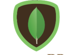 如何看待MongoDB 3.4新推出的Views？