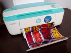 打印世界的真实色彩 惠普小Q喷打体验