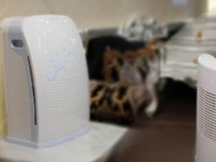 不合格率超两成外资空气净化器走下神坛