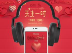 京东给锤子科技