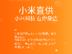 人人是推销员 小米引入直供模式卖手机