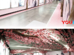 素素 这是优酷君为你种下的十里桃林