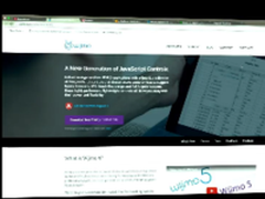 Angular和Wijmo一起走过的日子