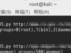瑞星发布安全警报：Struts 2爆远程漏洞