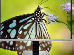 卢瓦尔LV323WUPX显示器创全新色彩视界