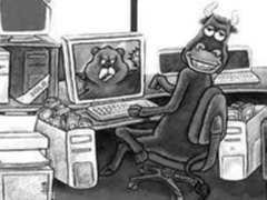 猥琐发育 一个优质ERP咨询顾问的成长路