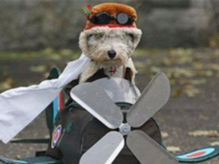 CRM软件选型8个关键让整个项目起飞