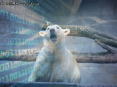 博览安全圈：声讨 美国CIA成众矢之的