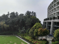 老鱼看会：低调才是最牛逼的炫耀！