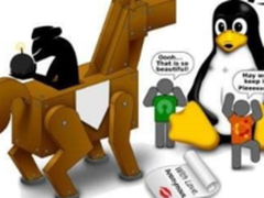 初学Linux系统最应该做对的4件事情