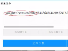 迅雷9更新实用功能 自动补全磁力链地址