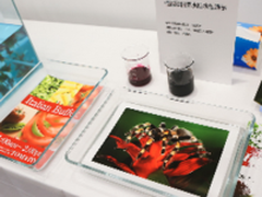 佳能从输入到输出完整影像体验亮相P&E