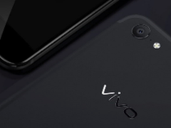 vivo真相：可持续发展商业样本研究报告