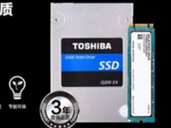 如虎添翼 东芝存储力助NGA电竞俱乐部