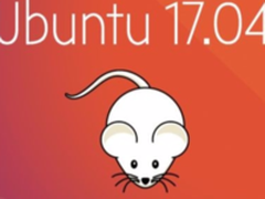 如何在Ubuntu 17.04上安装Oracle Java
