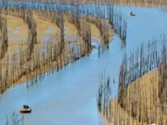 全是马后炮 老法师最爱的螺旋线构图法