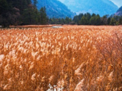风光人文利器 索尼G大师镜头摄九寨