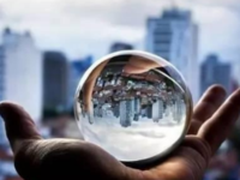 一位美国教授与840个公交扒手奇遇记