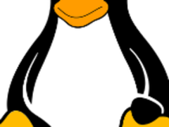    给学习Linux系统小白的两三个建议