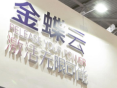 聚焦数博会 金蝶引领
