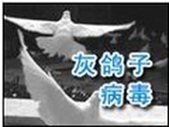 “灰鸽子”变种 所有应用软件恐变后门