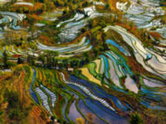 作为产品经理，你每天会观察哪些数据？