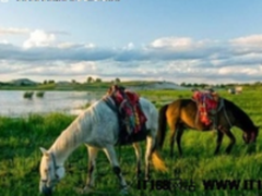 核心安全三重保障 新华三防火墙守护草原网络天空