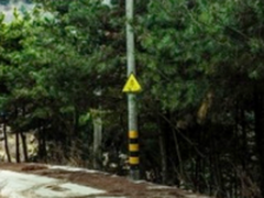 2017第二季度索尼青年摄影师入选名单公布