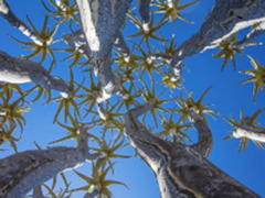 一次搞懂 佳能5DS、5DS R、5D3如何选择