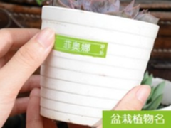 Brother普贴趣：简单一贴，唤醒生活趣味                   