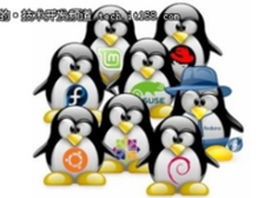 Windows Store可下载Linux发行版？妙！