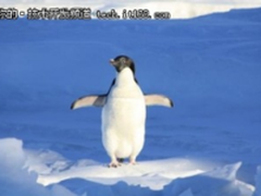 Linux 4.12发布，据传是历史最大版本之一